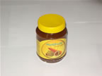 PonteCool.com