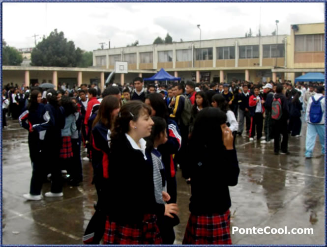 La asistencia a la feria fue numerosa durante los dos dias
