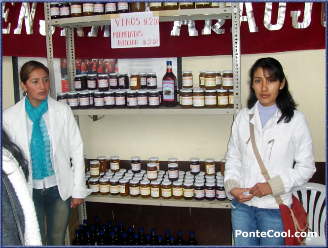 Elaboraci&oacute;n y comercializaci&oacute;n de alimentos