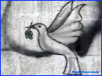 PonteCool.com
