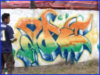 PonteCool.com